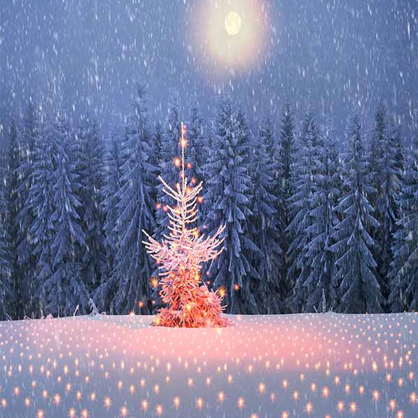 Fox Rolled Winter Snow Cedar Forest Vinyl Backdrop - Foxbackdrop