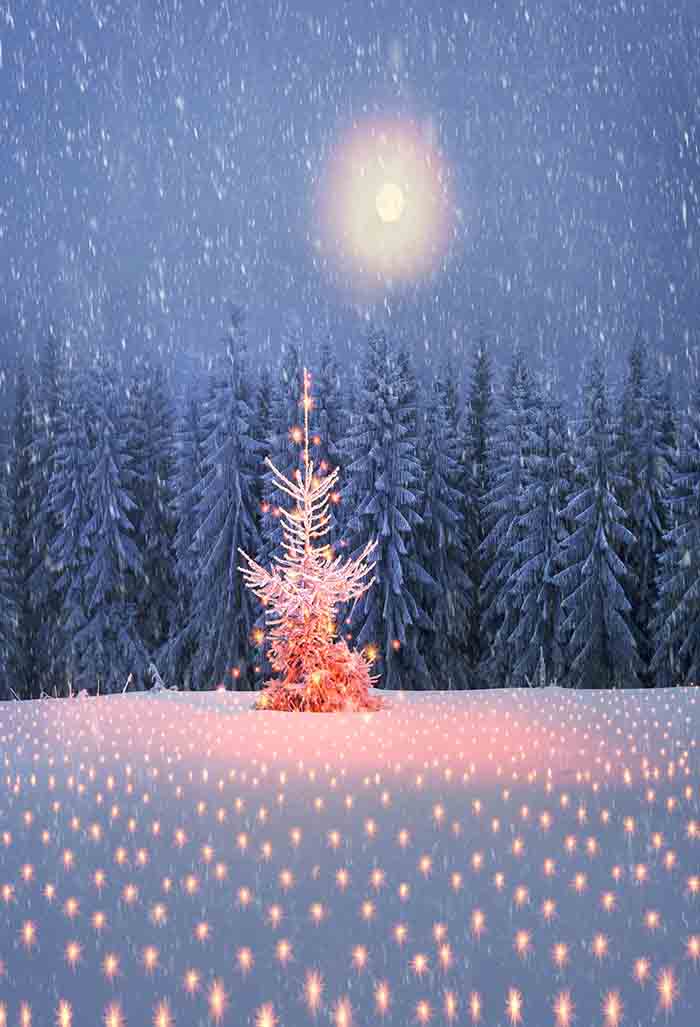 Fox Rolled Winter Snow Cedar Forest Vinyl Backdrop - Foxbackdrop