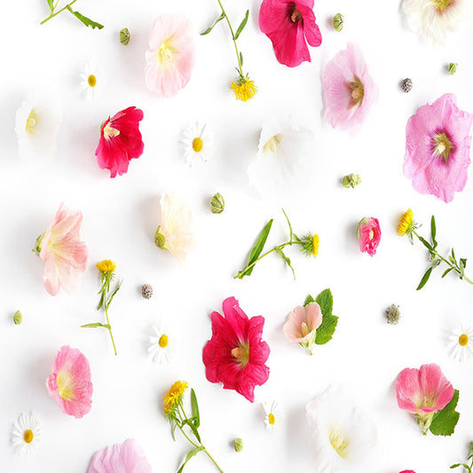 Fox Rolled Milk White Flowers Vinyl Photos Backdrop - Foxbackdrop