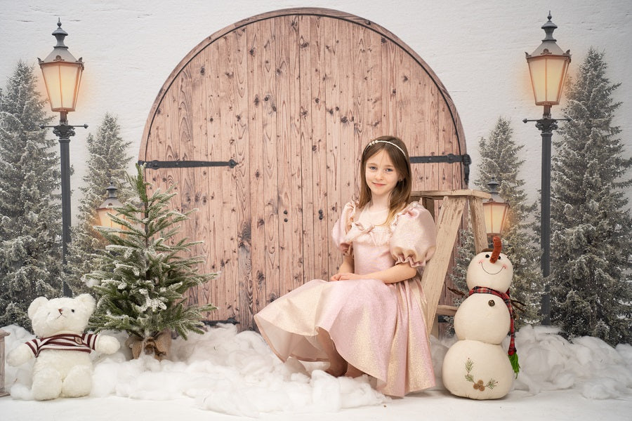 Fox Vinyl Christmas Backdrop with Wood Door Lights