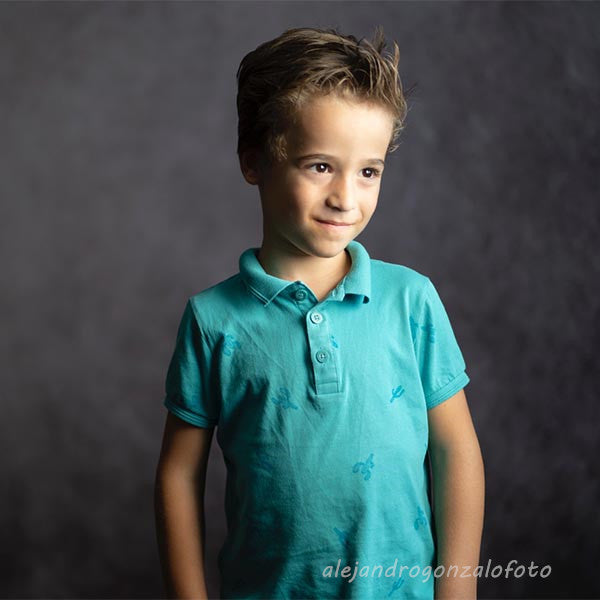 Fox Rolled Gray Portrait Texture Abstract Vinyl Backdrop - Foxbackdrop