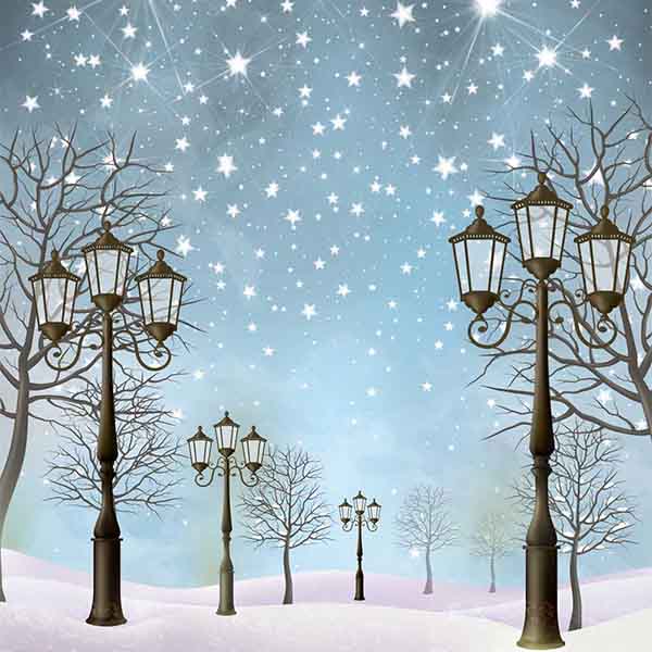 Fox Rolled Winter Snow Lights Vinyl Photo Backdrop - Foxbackdrop