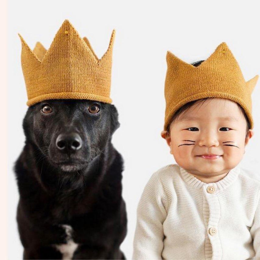 Fox Yellow Knitting Hats for Children Studio Props Outfits - Foxbackdrop