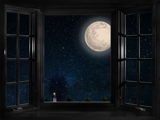 Fox Roll Night Moon Window Vinyl Photos Backdrop - Foxbackdrop