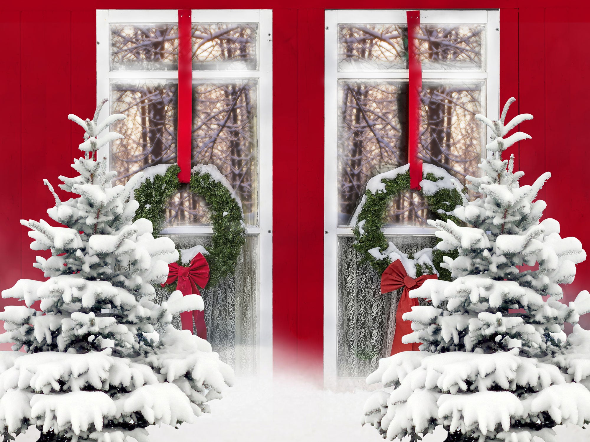 Fox Rolled Red Door Snow Christmas Vinyl Backdrop - Foxbackdrop