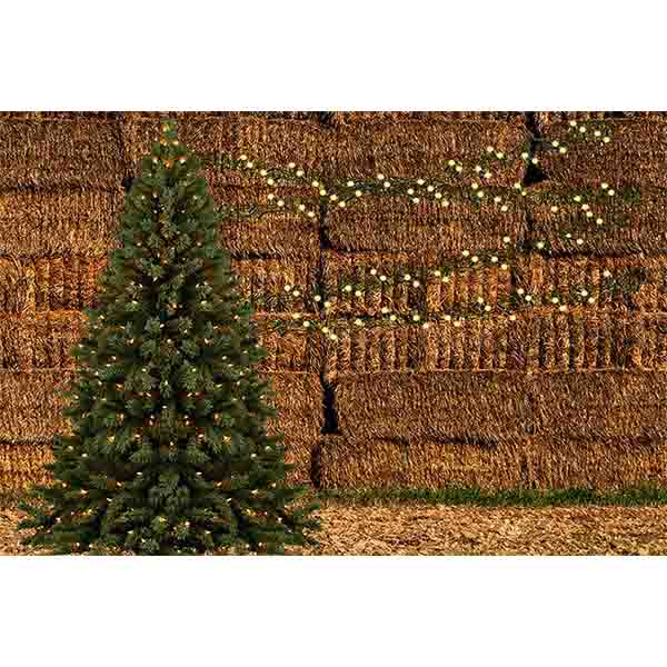 Fox Rolled Christmas Trees Haystack Vinyl Backdrops - Foxbackdrop