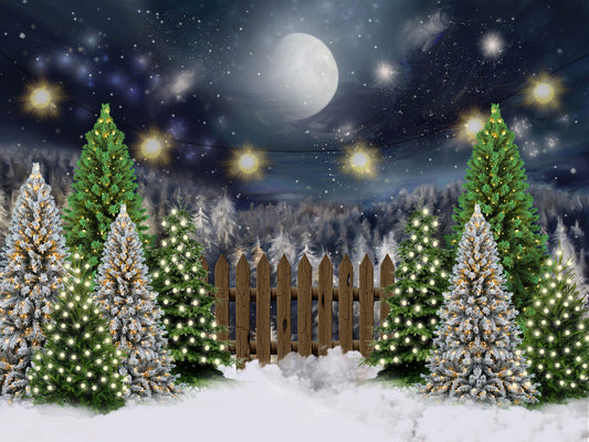 Fox Rolled Night Christmas Children Photos Vinyl Backdrop - Foxbackdrop