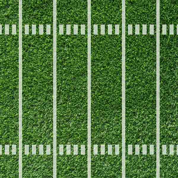 Fox Rolled Football Playground Children Vinyl Photo Backdrop - Foxbackdrop