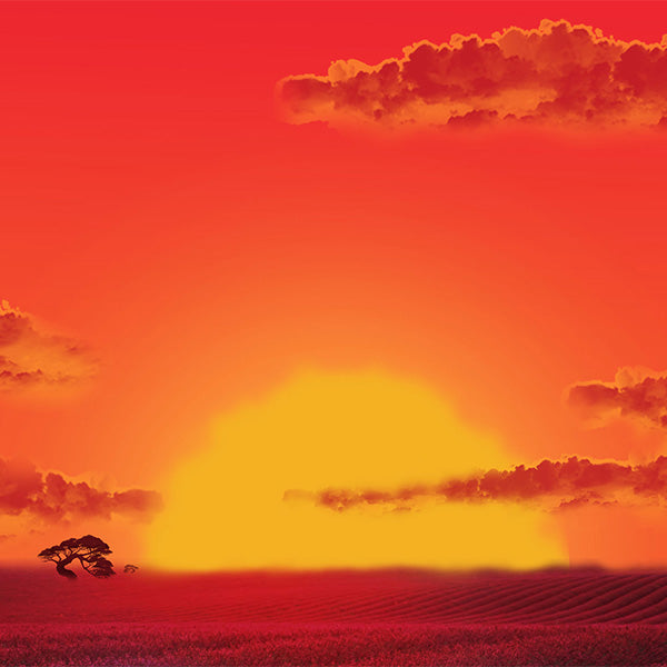 Fox Rolled Lion King Children Vinyl Photography Backdrop - Foxbackdrop