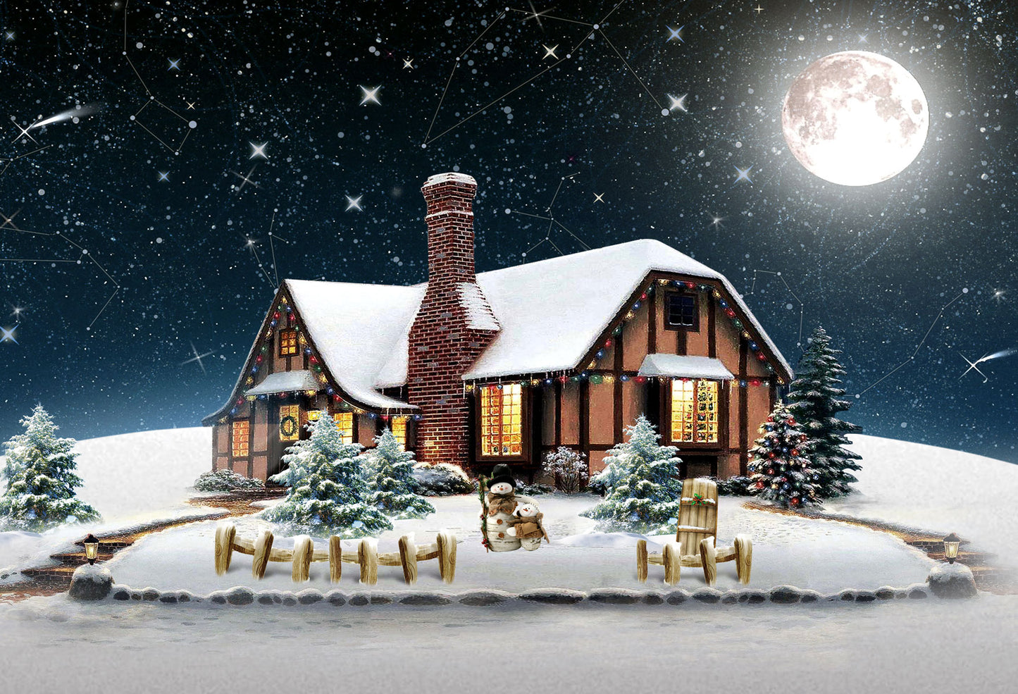 Fox Christmas Snow House Night Moon Vinyl Backdrop - Foxbackdrop