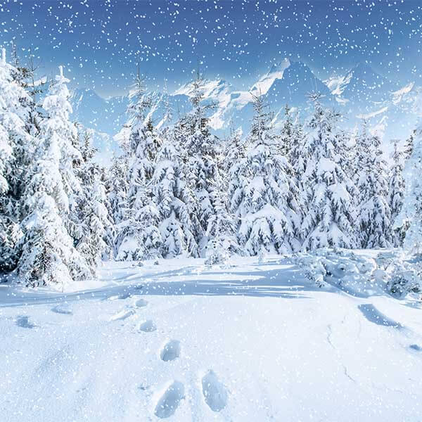 Fox Rolled Outdoor Winter Snow Vinyl Photography Backdrop - Foxbackdrop