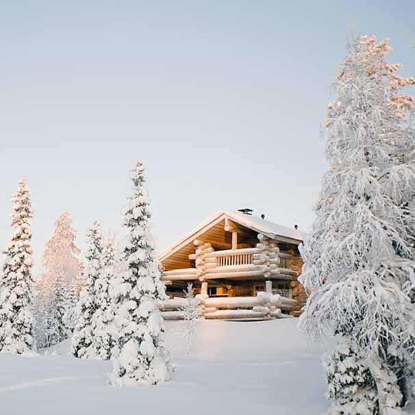 Fox Rolled Winter Snow Cabin Vinyl Photography Backdrop - Foxbackdrop