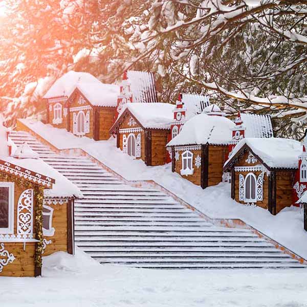 Fox Rolled Winter Snow Buildings Vinyl Backdrop - Foxbackdrop