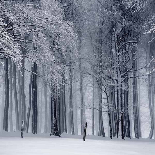 Fox Rolled Vinyl Winter Snow Vinyl Forest Photo Backdrop - Foxbackdrop