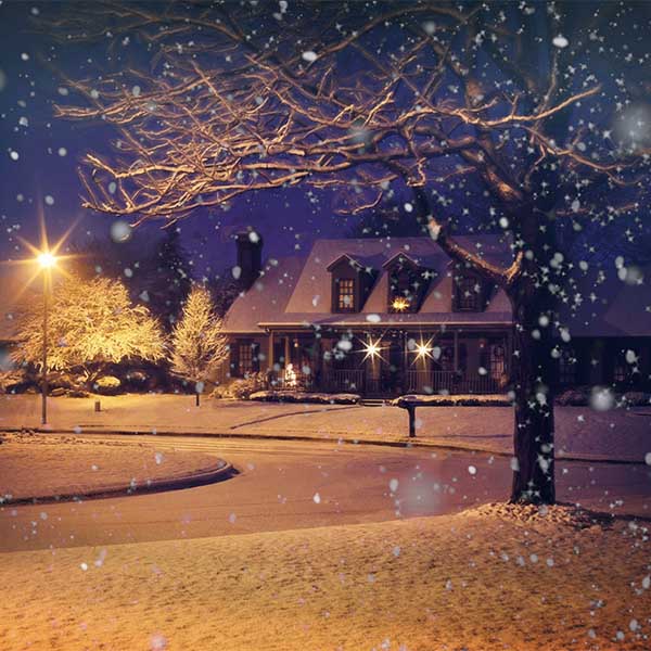 Fox Rolled Vinyl Winter Night Snow Light Vinyl Backdrop - Foxbackdrop