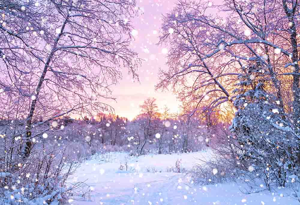 Fox Rolled Winter Snow Trees Vinyl Photo Backdrop - Foxbackdrop