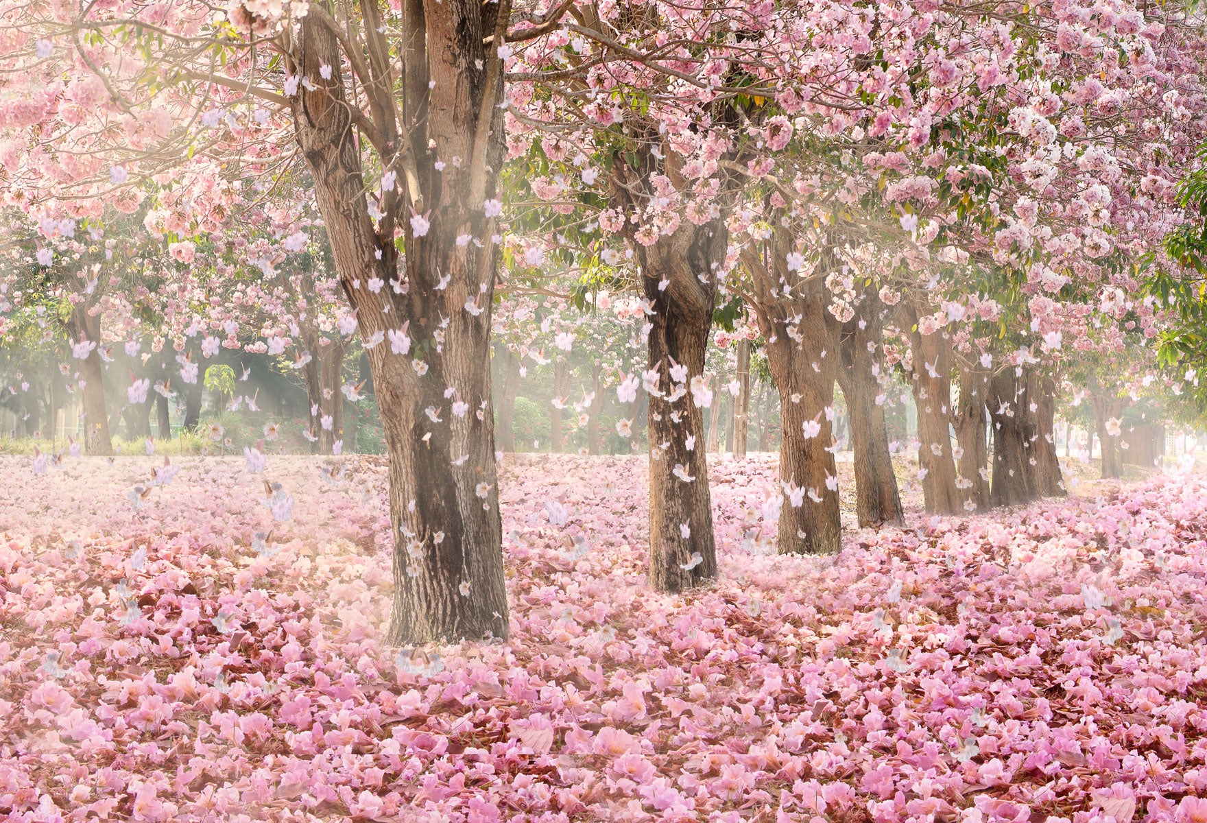 Fox Purple Flowers Trees Vinyl Photos Backdrop - Foxbackdrop