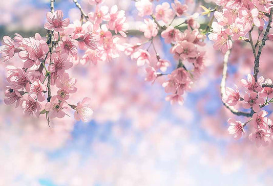 Fox Rolled Peach Pink Flower Vinyl Photos Backdrop - Foxbackdrop