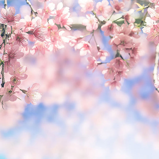 Fox Rolled Peach Pink Flower Vinyl Photos Backdrop - Foxbackdrop