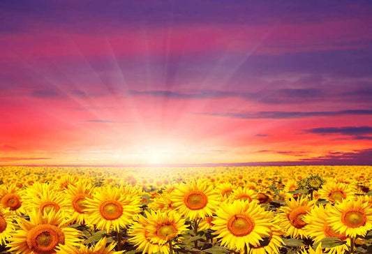 Fox Rolled Sunflowers Sunshine Vinyl Photography Backdrop - Foxbackdrop