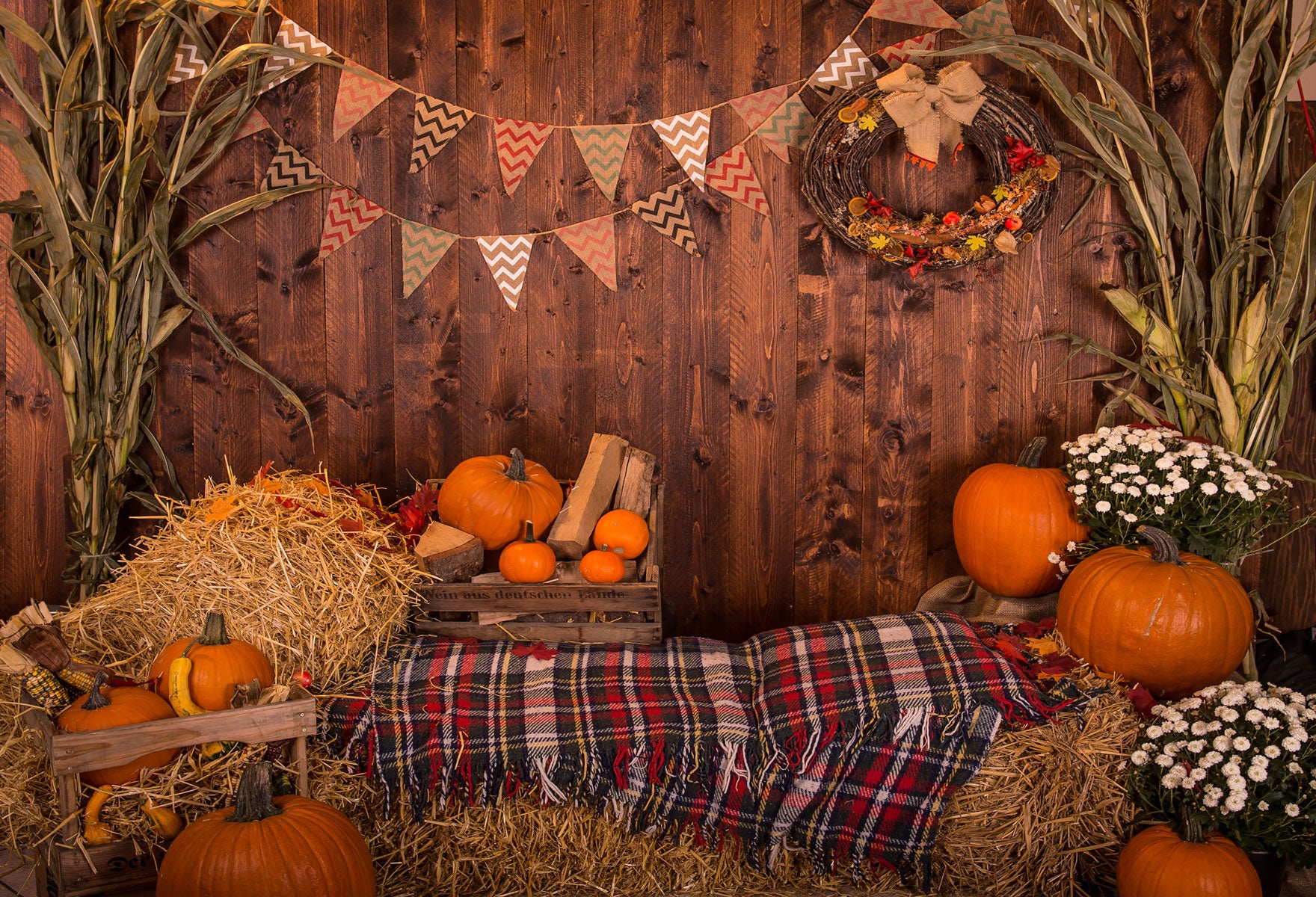 Fox Rolled Thanksgiving Day Vinyl Rolled Backdrops - Foxbackdrop