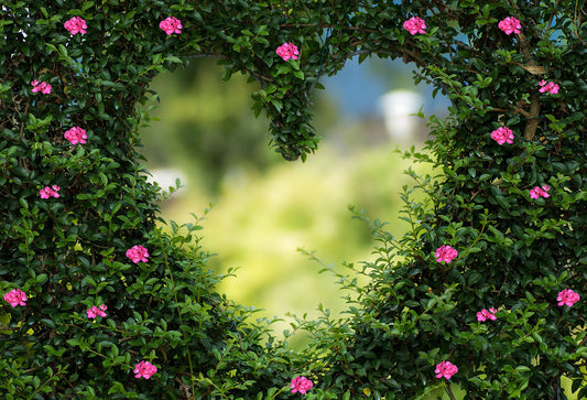 Fox Green Leaves Heart Shape Vinyl Cloth Backdrop - Foxbackdrop