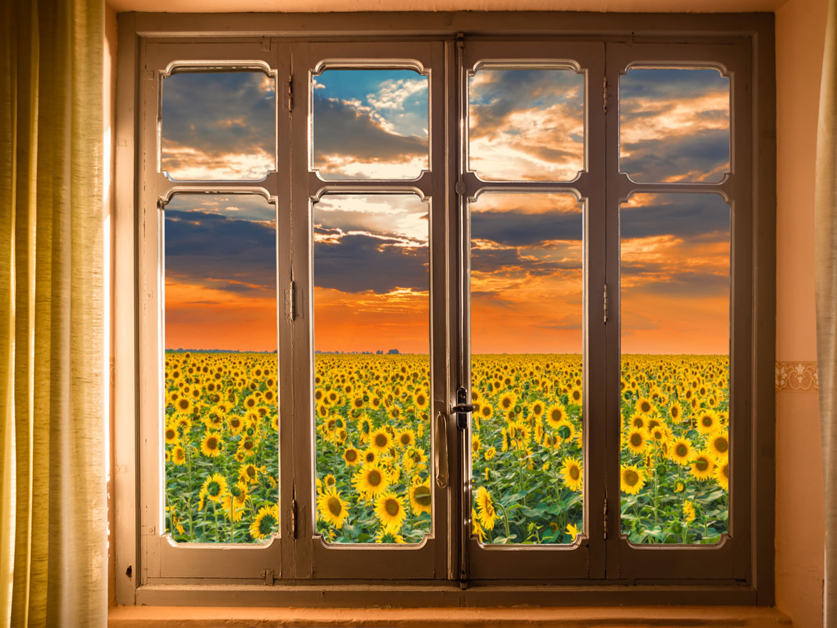 Fox Window View of Sunflowers Scenery Vinyl Backdrop - Foxbackdrop
