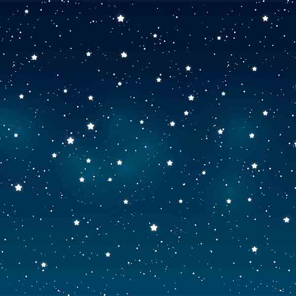 Cheap Price Fox Night Sky Stars Affordable Children Vinyl/Fabric ...