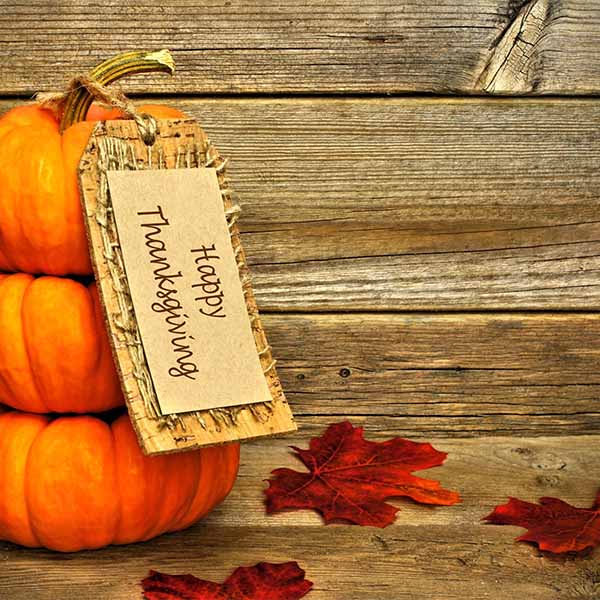 Fox Rolled Thanksgiving Day Wood Vinyl Backdrop - Foxbackdrop