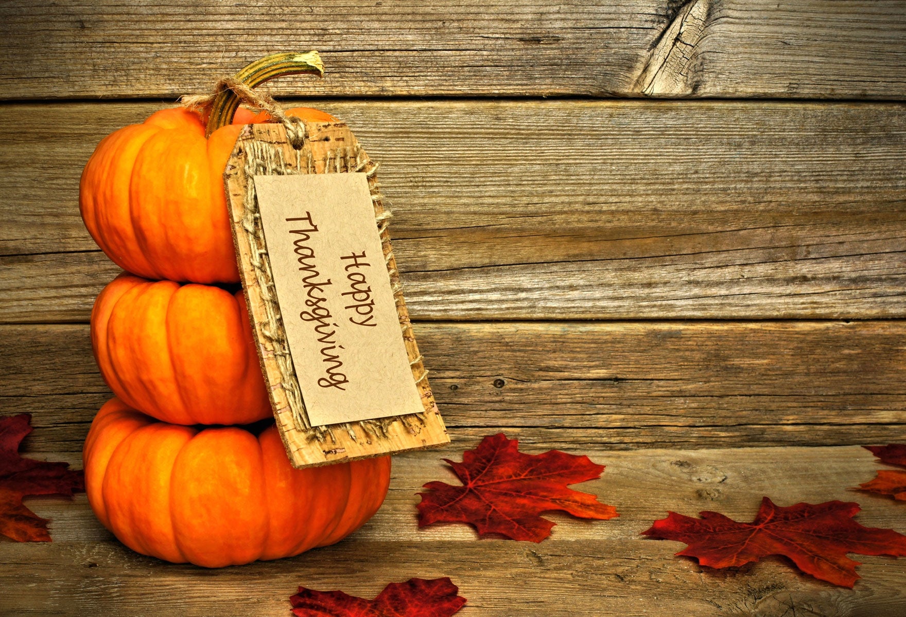 Fox Rolled Thanksgiving Day Wood Vinyl Backdrop - Foxbackdrop