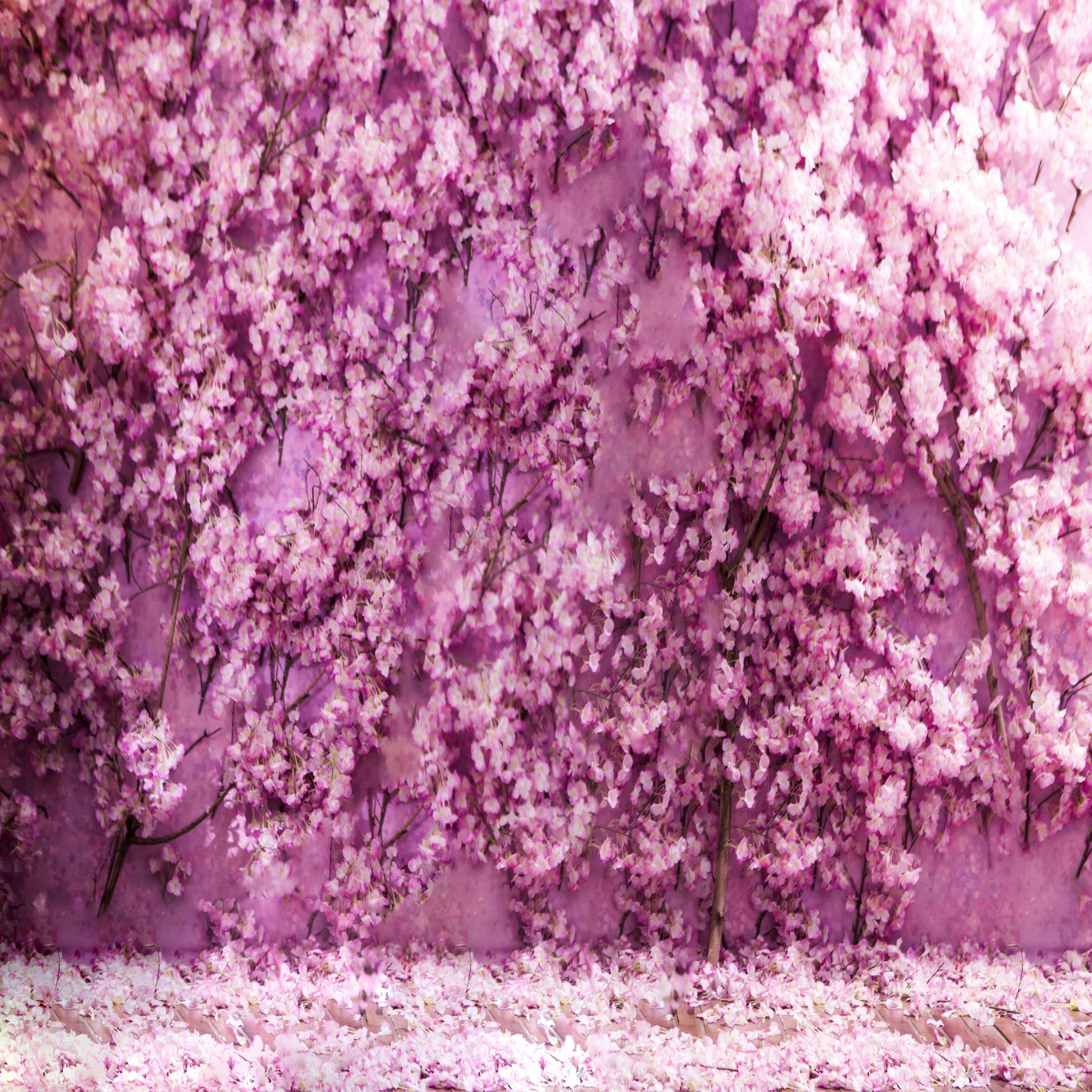 Fox Pink Flowers Wall Floral Vinyl Photos Backdrop - Foxbackdrop