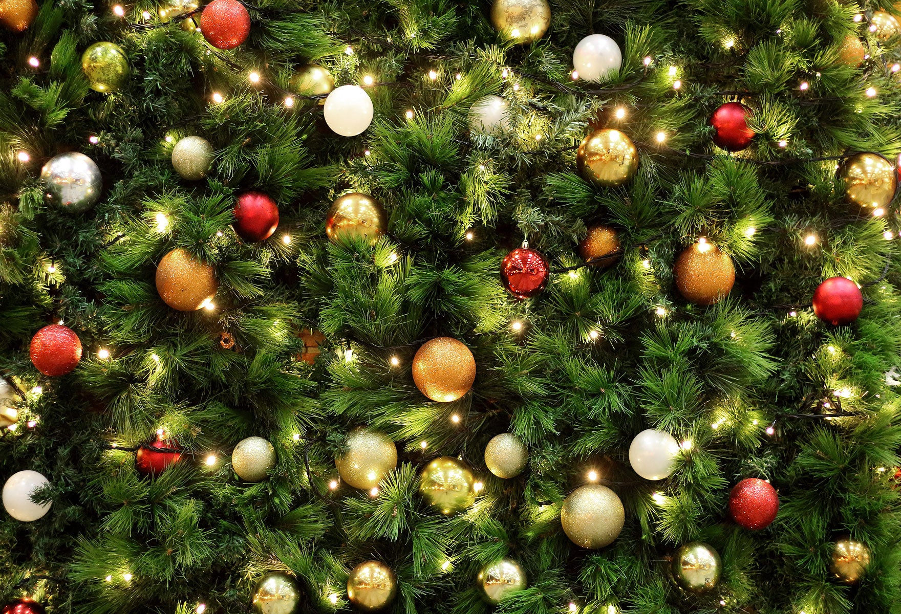 Fox Christmas Tree Balls Lights Vinyl Photo Backdrop - Foxbackdrop