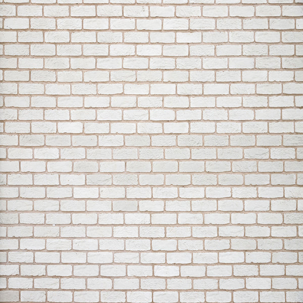 Fox Retro White Brick Wall Vinyl Rolled Photography Backdrop - Foxbackdrop