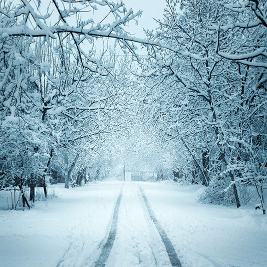 Fox Rolled Winter Snow Road Trees Forest Vinyl Backdrop - Foxbackdrop