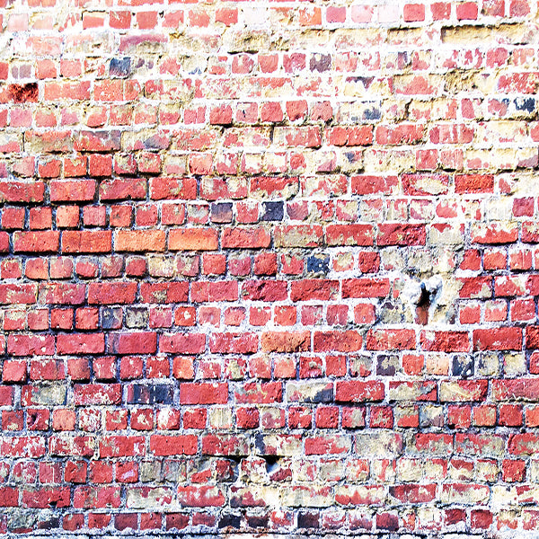 Fox Rolled Red Brick Wall Retro Photography Backdrop - Foxbackdrop