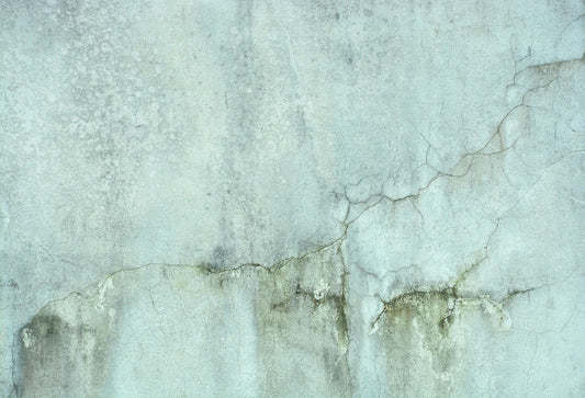 Fox Retro Damaged Wall Vinyl Backdrop - Foxbackdrop