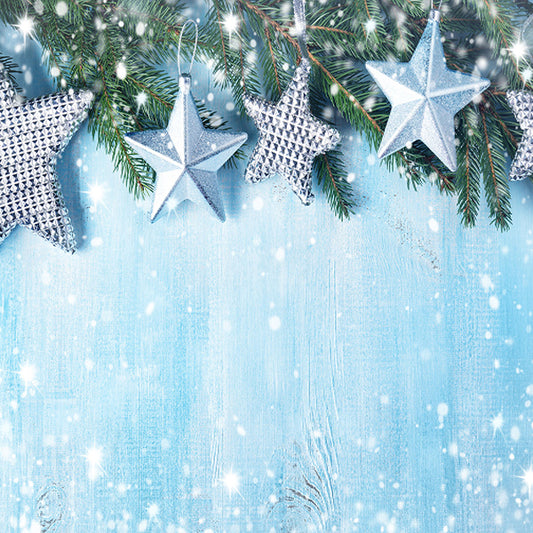 Fox Christmas Silver Stars Vinyl Photos Backdrop - Foxbackdrop