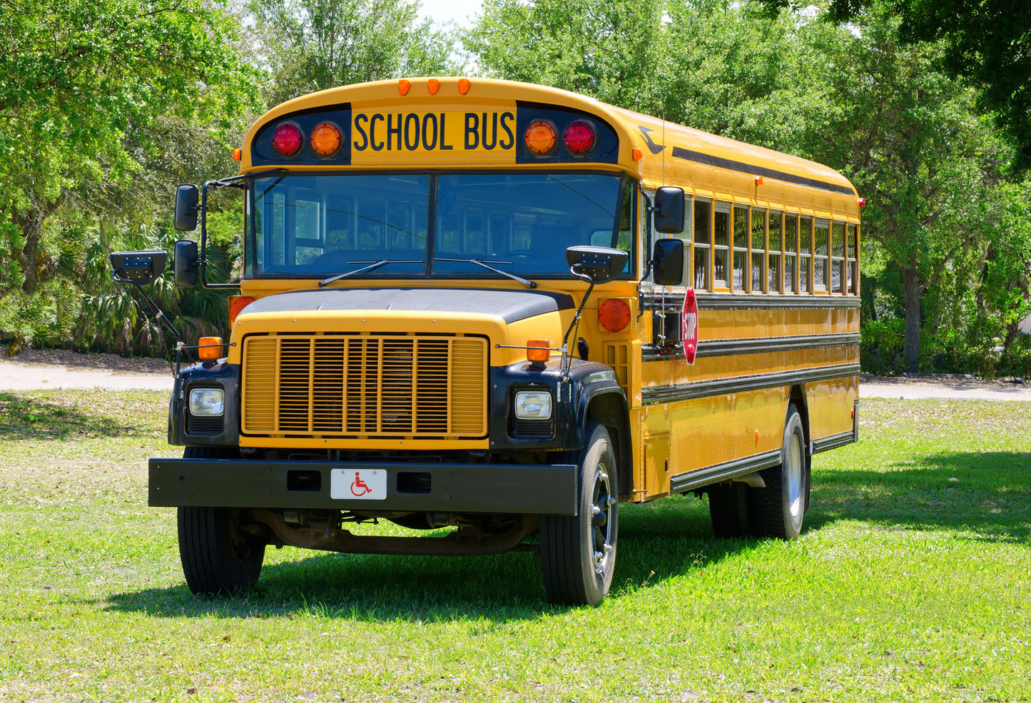 Fox Yellow School Bus Children Photoshoting Vinyl Backdrops - Foxbackdrop