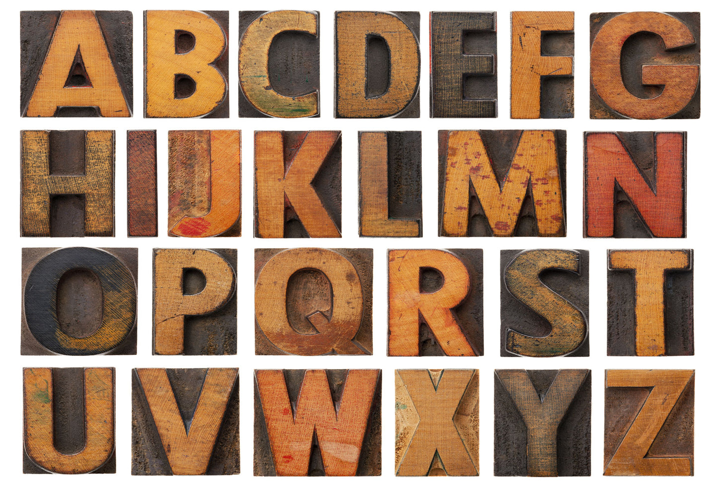 Fox Wood English Alphabet Children Vinyl Backdrop - Foxbackdrop