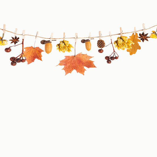 Fox Beige Autumn Leaves Vinyl Photography Backdrops - Foxbackdrop