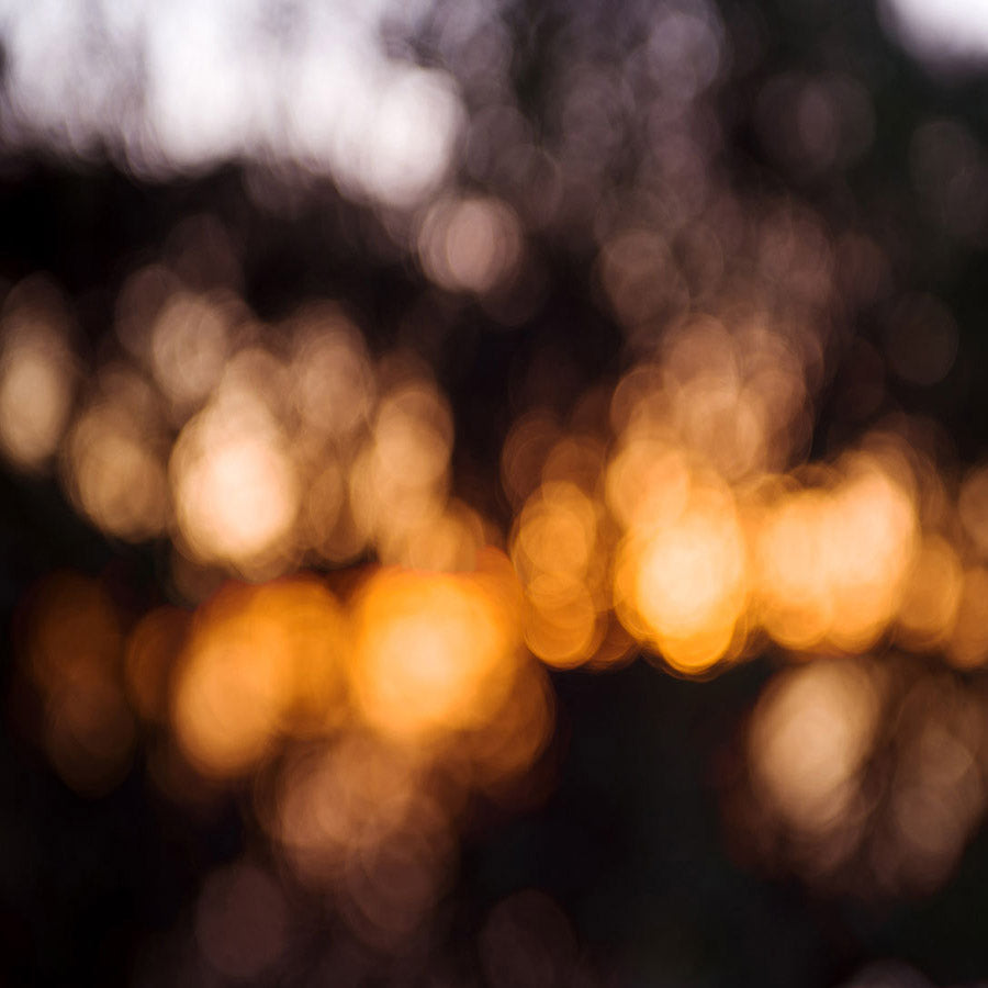 Fox Rolled Yellow Bokeh Glitter Vinyl Photo Backdrop - Foxbackdrop