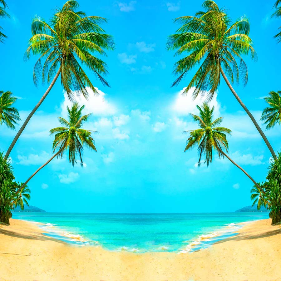 Fox Rolled Vinyl Summer Holiday Coconut Trees Beach Backdrop - Foxbackdrop