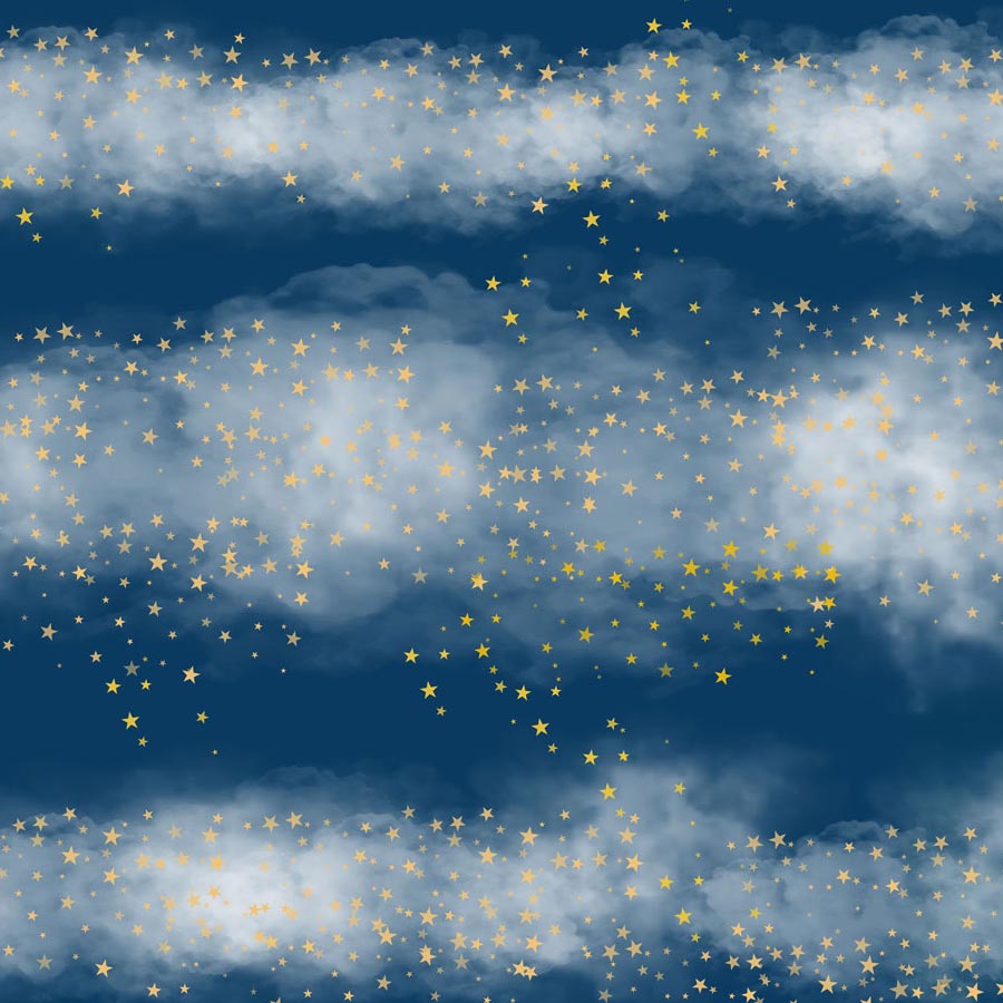 Fox Dark Blue Sky Stars Clouds Vinyl Children Backdrop - Foxbackdrop