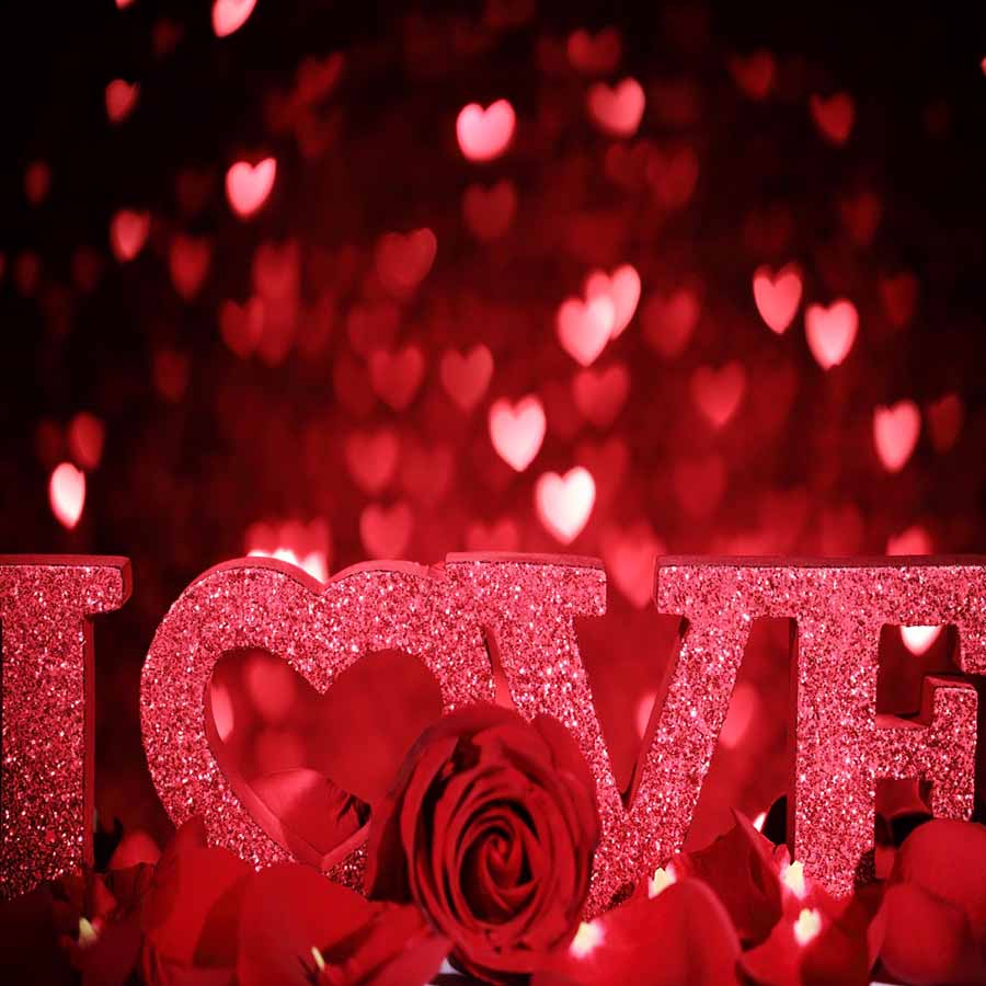 Fox Rolled Vinyl Red Love Rose Valentine's Photo Backdrops - Foxbackdrop