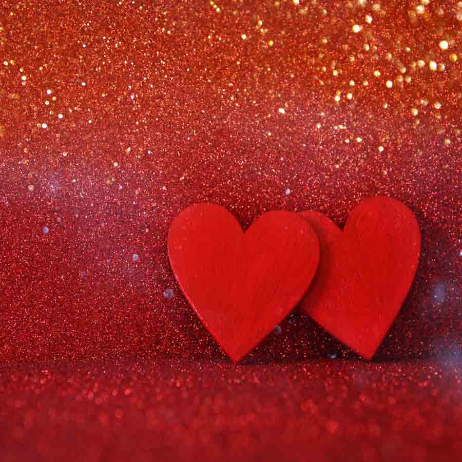 Fox Rolled Red Valentine's Day Photography Backdrop - Foxbackdrop