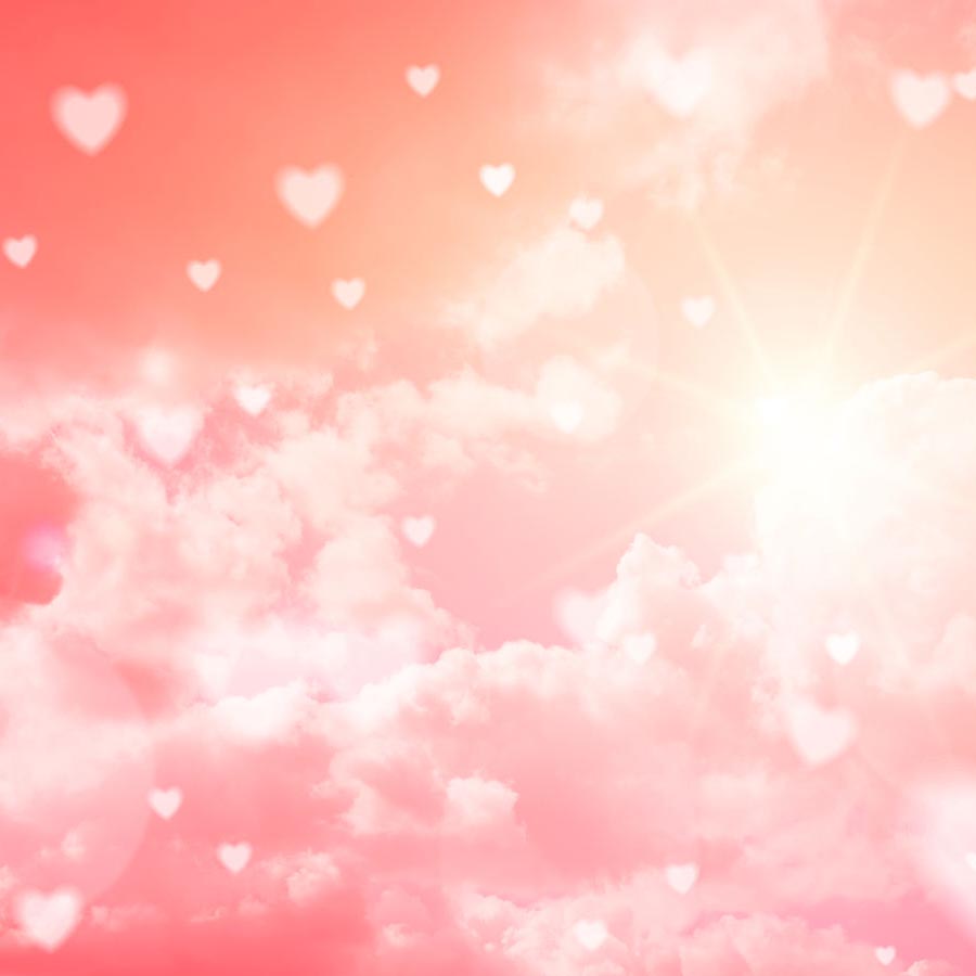Fox Rolled Pink Sky Shine Vinyl Valentine Backdrop - Foxbackdrop