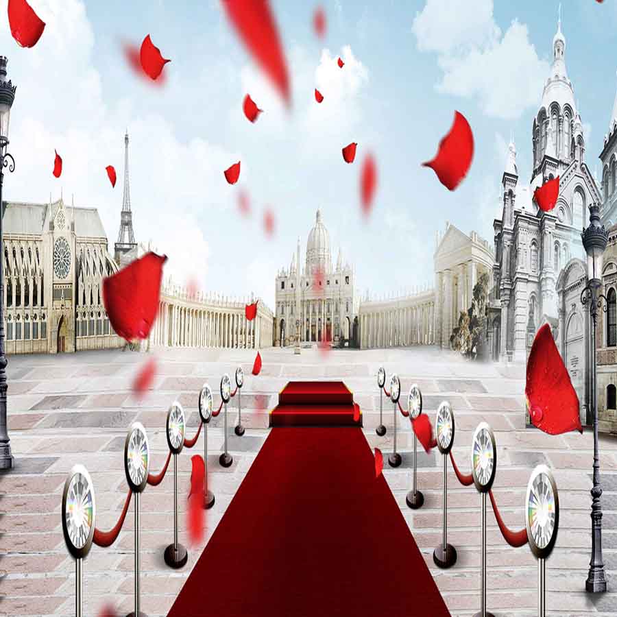 Fox Rolled Red Carpet Valentine Vinyl Backdrop for Photography - Foxbackdrop