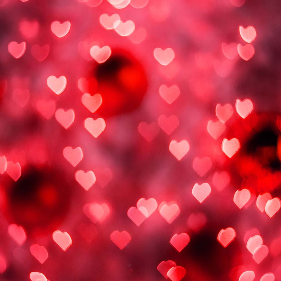 Fox Rolled Vinyl Red Heart Valentine's Day Backdrop - Foxbackdrop