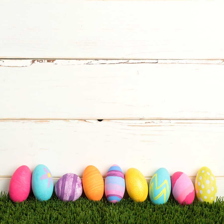 Fox Rolled Vinyl White Wood Easter Photography Backdrop - Foxbackdrop