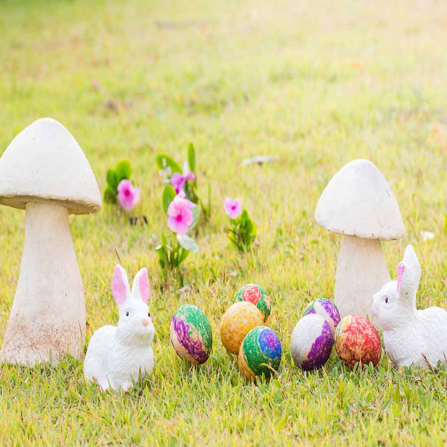 Fox Rolled Mushroom Rabbit Easter Vinyl Backdrops - Foxbackdrop